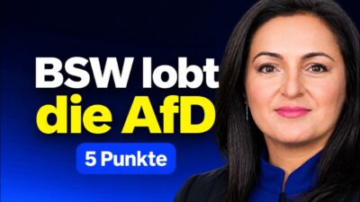 Mehr über den Artikel erfahren „In 5 Punkten unschlagbar!“ 💣 Dağdelen lobt die AfD offen