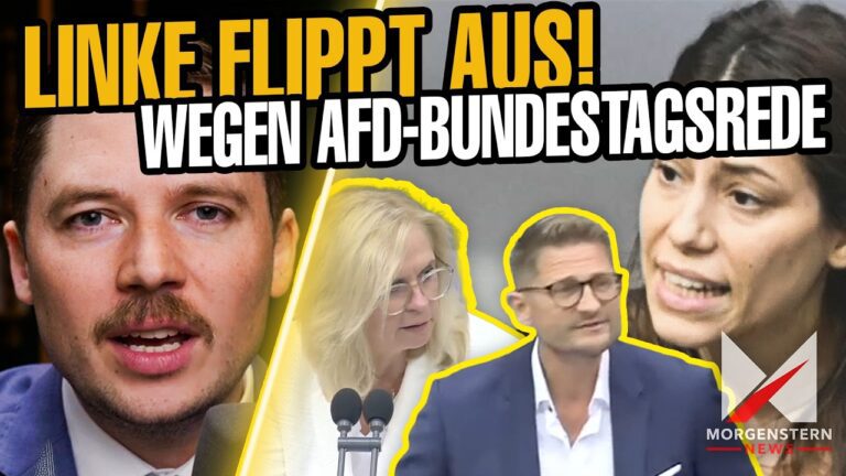 Mehr über den Artikel erfahren Linke FLIPPT völlig aus wegen AfD-Realitätscheck