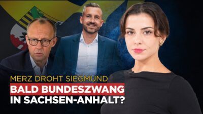 Mehr über den Artikel erfahren Nachrichten AUF1 vom 08. September 2026