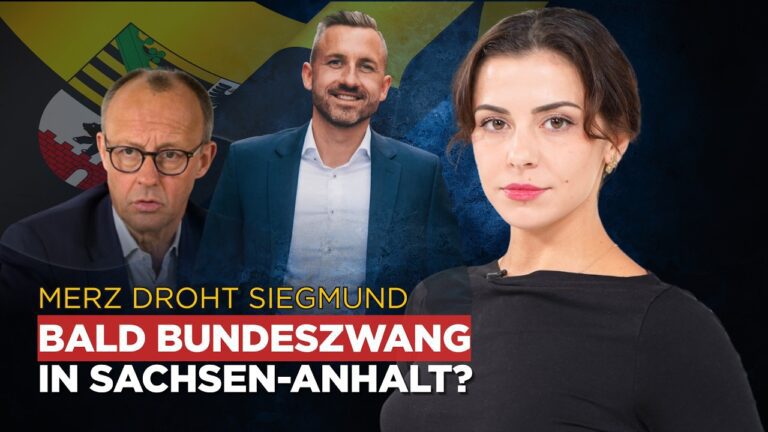 Mehr über den Artikel erfahren Nachrichten AUF1 vom 08. September 2026