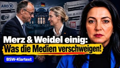Mehr über den Artikel erfahren „Sie sind sich einig!“ – das geheime Merz-Weidel-Bündnis