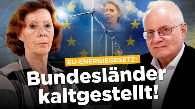 Mehr über den Artikel erfahren Anschlag auf Demokratie? EU-Energiegesetz erzwingt Verfassungsbruch