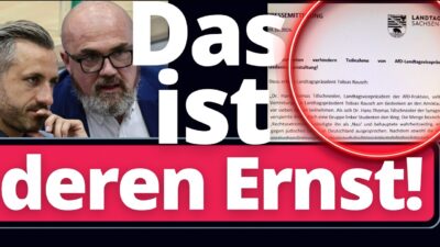 Mehr über den Artikel erfahren EIL: AfD Sachsen-Anhalt treibt Mainstream in den kollektiven Wahnsinn!