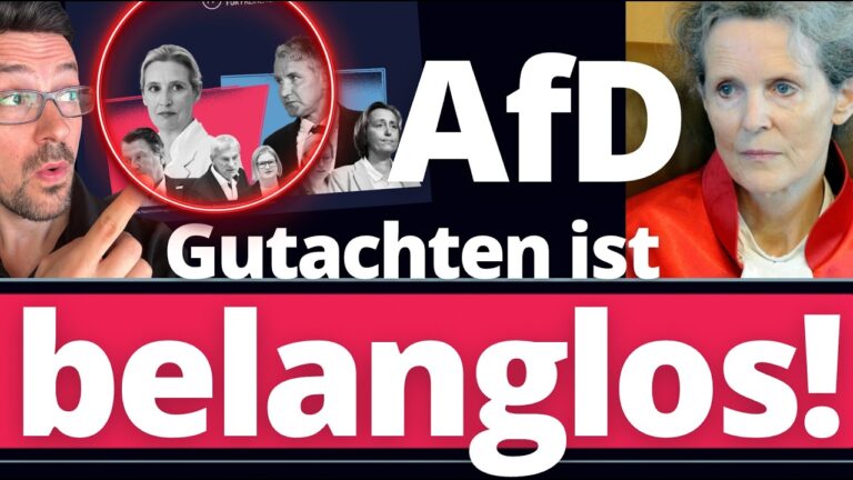 Mehr über den Artikel erfahren EIL: Ende der AfD-Verbotsfantasien! Plötzlich meldet sich Ex-Verfassungsrichterin zu Wort!!