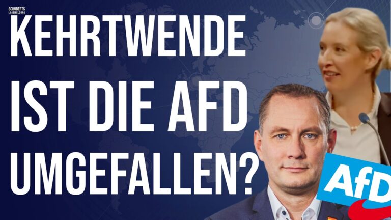 Mehr über den Artikel erfahren Leak💥Verkauft die AfD ihre Seele für Regierungsbeteiligung?💥Neue Strategie💥 AfD jetzt Mainstream?