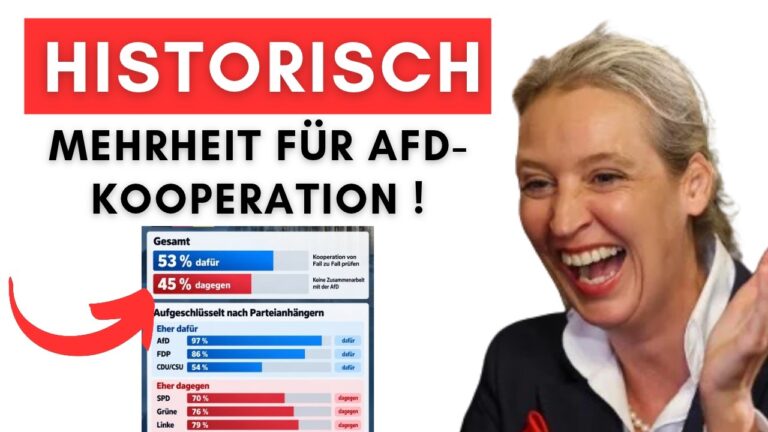 Mehr über den Artikel erfahren Mehrheit für AfD-Kooperation + BMW zieht Dienstwagen wegen AfD-Präsident zurück + Neuer Wahlbetrug!