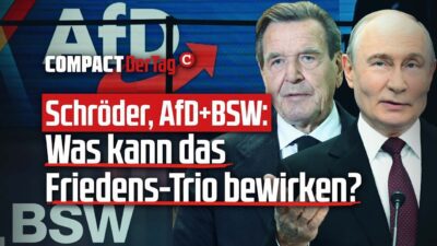 Schröder, AfD + BSW: Was kann das Friedens-Trio bewirken?💥