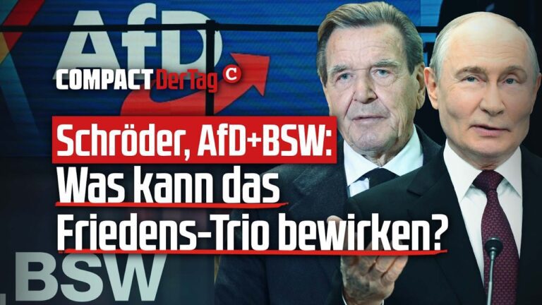Mehr über den Artikel erfahren Schröder, AfD + BSW: Was kann das Friedens-Trio bewirken?💥