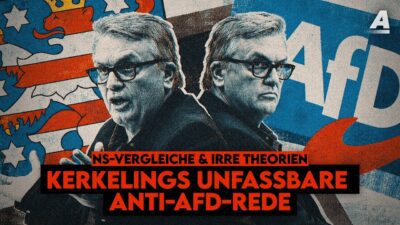 Sie verzweifeln an der AfD