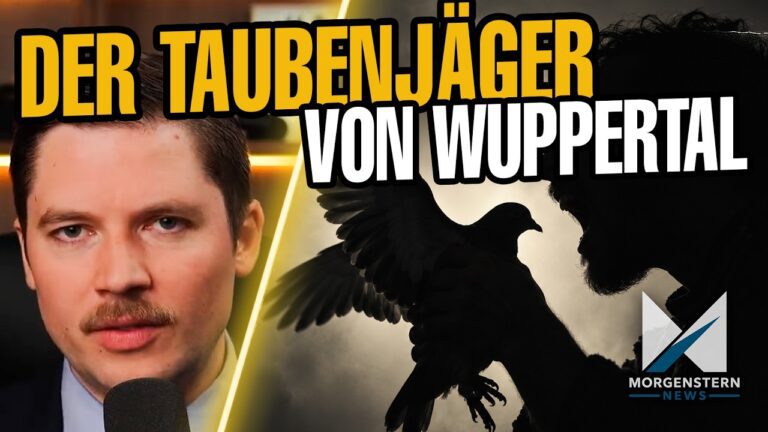 Mehr über den Artikel erfahren Stadttaube gegessen? Mann jagd u.a. stadtbekannte Taube „Pummel“
