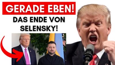 Mehr über den Artikel erfahren Streit eskaliert endgültig: Trump will Selensky «ersetzen» lassen & Musk droht Selensky ebenfalls!